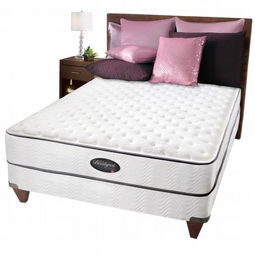 simmons席夢思a9精品專柜開幕 頂級百萬寢具奢華首曝光 許瑋甯性感出席