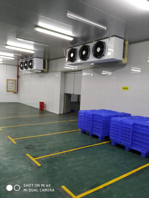 食品廠合作或出租 供求信息 powered discuz