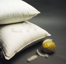 輕柔溫暖 safron萊美羽絨寢具精品