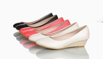 百職優品 bygics 產品攝影原尺寸圖片