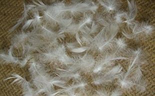 廣西貴港市貴康羽絨_世界工廠網全球企業庫