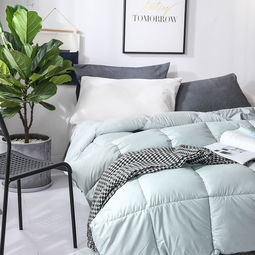 羽絨被 不再奢侈的健康寢具