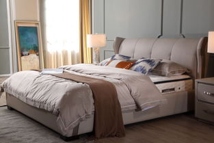 法雷爾智能沙發 寢具盛大開業 暨明星簽售會